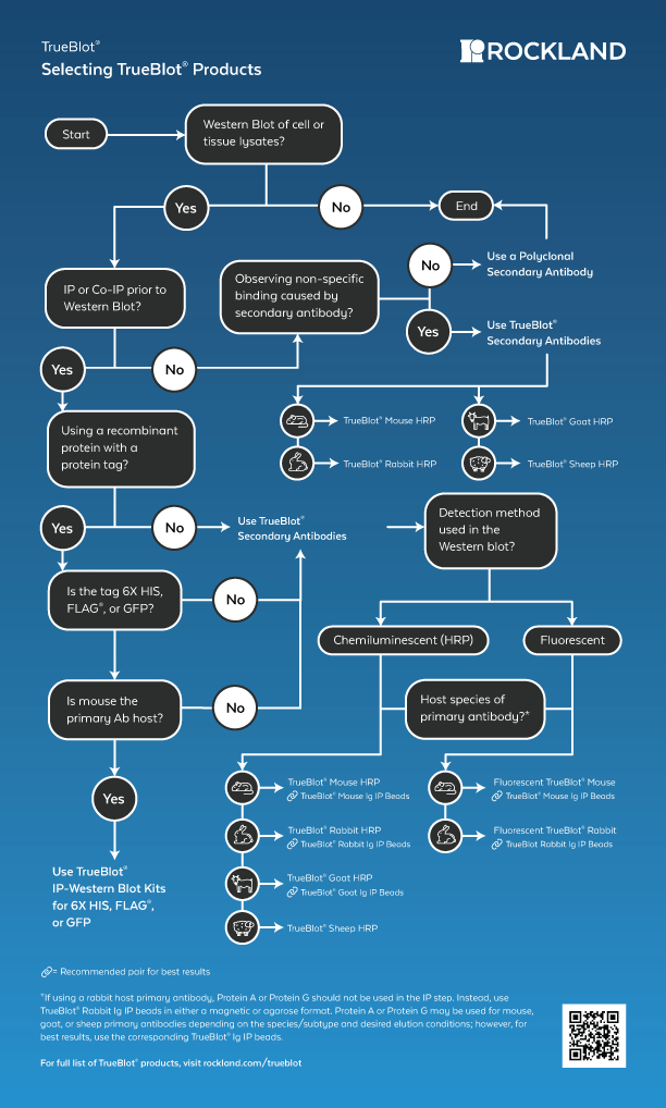 TrueBlot Flowchart