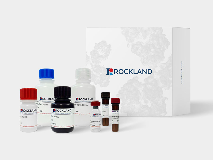 Nuclease Kit Components